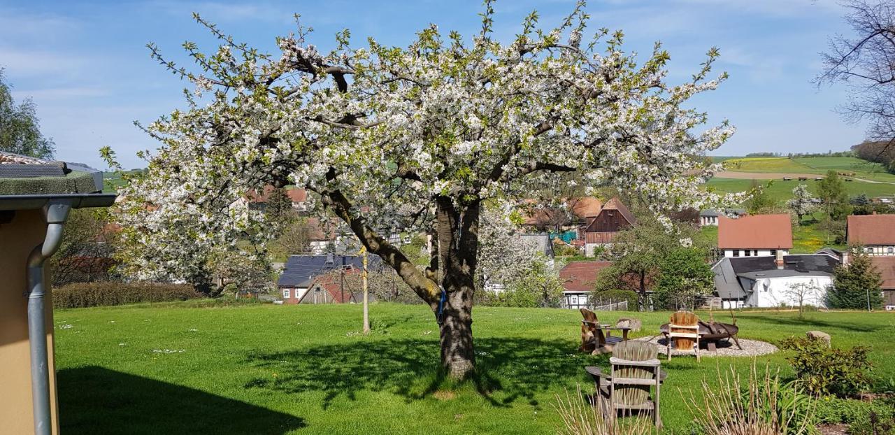 Hossies Hof - Elke Lägenhet Bertsdorf Exteriör bild
