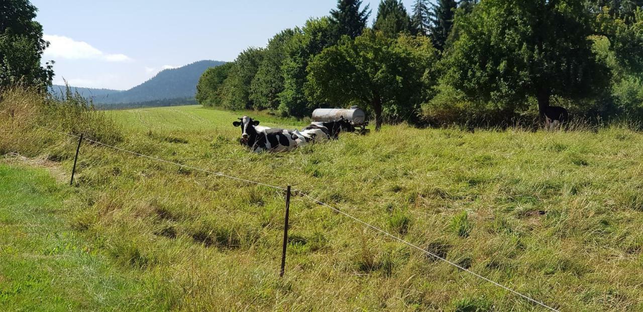 Hossies Hof - Elke Lägenhet Bertsdorf Exteriör bild